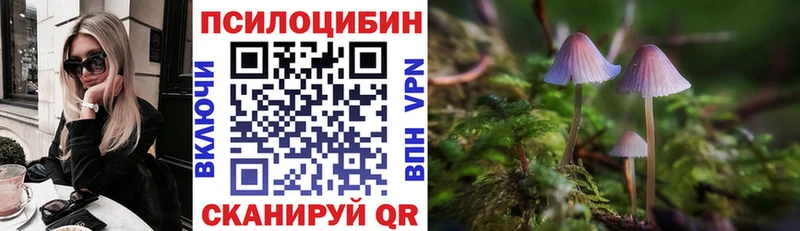 Купить где  Змеиногорск  Псилоцибиновые грибы прущие грибы 